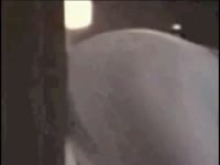 Zoofilia lover girl got knotted to dog's hard dick